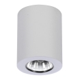 Azzardo AZ1054 - Φως οροφής BORIS 1xGU10/50W/230V