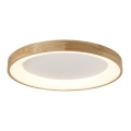 Azzardo AZ2698 - Φωτιστικό οροφής LED SILVAM LED/50W/230V
