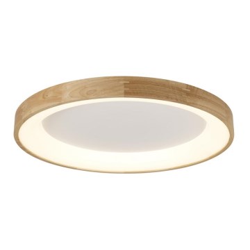 Azzardo AZ2698 - Φωτιστικό οροφής LED SILVAM LED/50W/230V