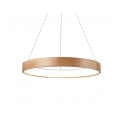 Azzardo AZ2699 - Πολύφωτο LED σε σχοινί SILVAM 1xLED/50W/230V