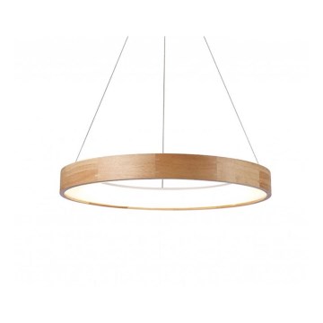 Azzardo AZ2699 - Πολύφωτο LED σε σχοινί SILVAM 1xLED/50W/230V
