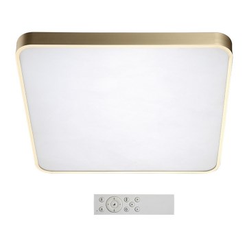 Azzardo AZ2760 - Ρυθμιζόμενο LED φωτιστικό οροφής QUADRO LED/60W/230V + τηλεχειριστήριο