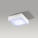 Azzardo AZ2781 - Φως οροφής LED FALCO LED/12W/230V