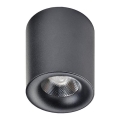 Azzardo AZ2844 - Φως οροφής LED MANE 1xLED/10W/230V