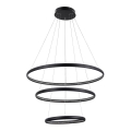 Azzardo AZ4428 - Φωτιστικό LED BRIGHTON LED/55W/230V μαύρο