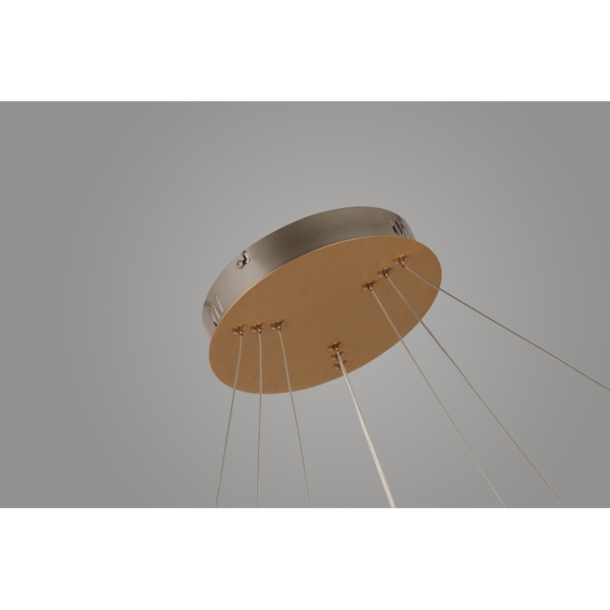 Azzardo AZ4429 - Φωτιστικό LED BRIGHTON LED/55W/230V χρυσό
