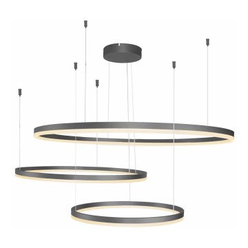 Azzardo AZ4707 - Κρεμαστό φωτιστικό LED με καλώδιο HALO LED/130W/230V, μαύρο