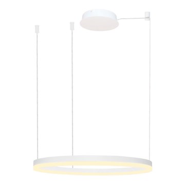 Azzardo AZ4959 - Led Dimmable κρεμαστό φωτιστικό οροφής HALO LED/56W/230V διάμετρος 80 cm λευκό