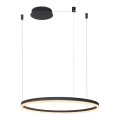 Azzardo AZ4960 - Ρυθμιζόμενο LED φωτιστικό οροφής με καλώδιο HALO LED/54W/230V διάμετρος 80 εκ. μαύρο