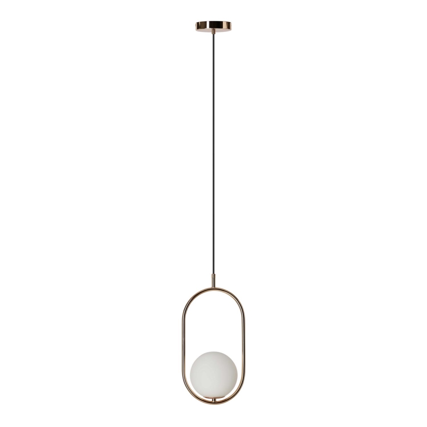 Azzardo AZ4981 - Κρεμαστό φωτιστικό οροφής COCO 1xG9/50W/230V