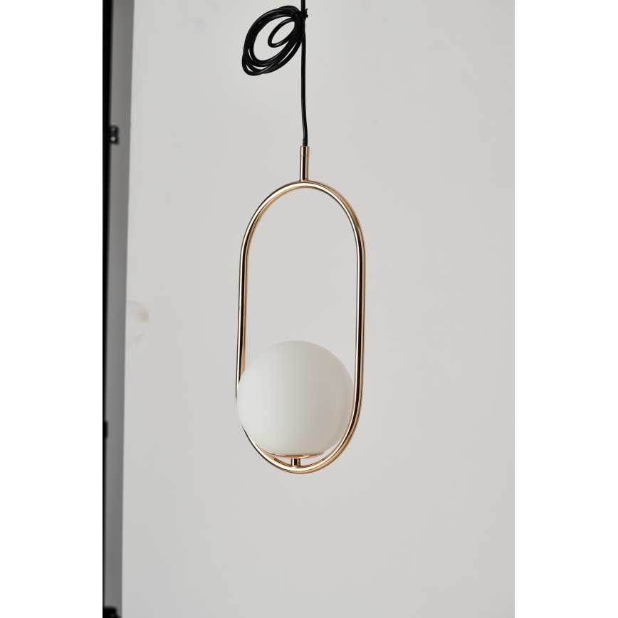 Azzardo AZ4981 - Κρεμαστό φωτιστικό οροφής COCO 1xG9/50W/230V