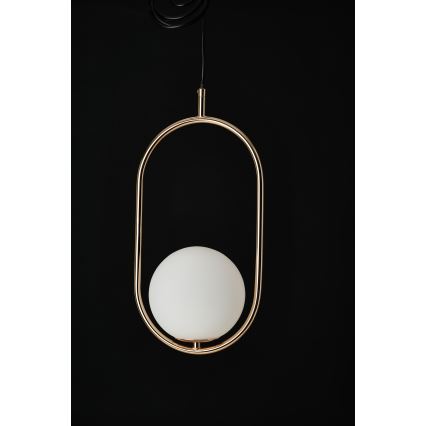 Azzardo AZ4981 - Κρεμαστό φωτιστικό οροφής COCO 1xG9/50W/230V