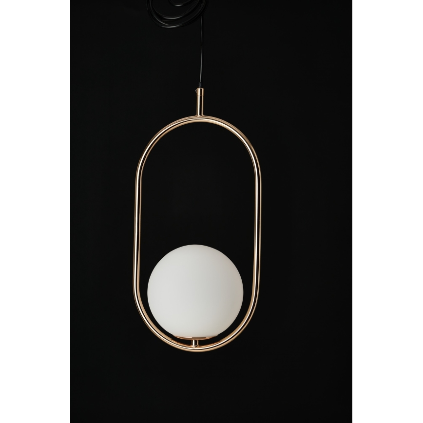 Azzardo AZ4981 - Κρεμαστό φωτιστικό οροφής COCO 1xG9/50W/230V