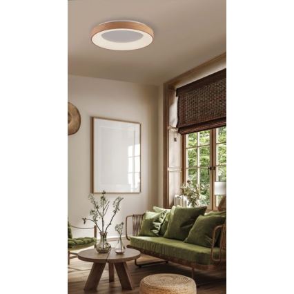 Azzardo AZ4988 - Φωτιστικό οροφής LED SANTANA LED/30W/230V χρυσαφί