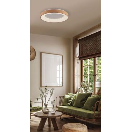 Azzardo AZ4989 - Φωτιστικό οροφής LED SANTANA LED/30W/230V καφέ