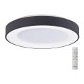 Azzardo AZ4995 - Ρυθμιζόμενο LED οροφής φωτιστικό SANTANA LED/80W/230V μαύρο + τηλεχειριστήριο