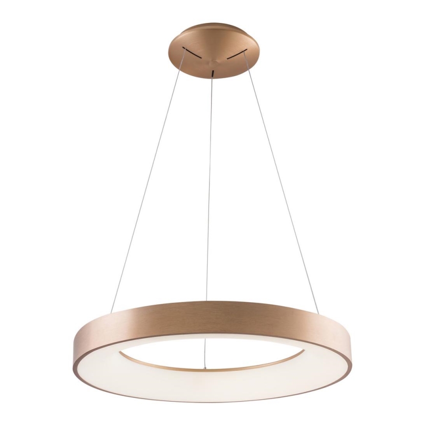 Azzardo AZ5000 - LED Φωτιστικό οροφής με καλώδιο SANTANA LED/30W/230V χρυσό