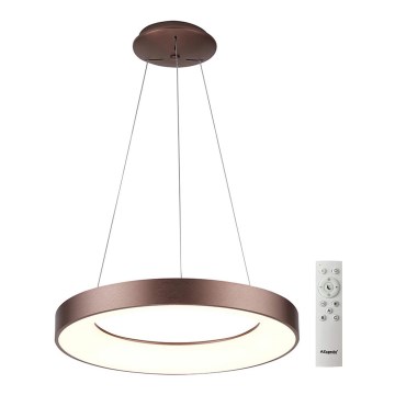 Azzardo AZ5007 - Led Dimmable κρεμαστό φωτιστικό οροφής SANTANA LED/50W/230V καφέ + τηλεχειριστήριο