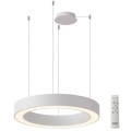 Azzardo AZ5052 - LED ρυθμιζόμενο κρεμαστό φωτιστικό με καλώδιο MARCO LED/100W/230V λευκό + τηλεχειριστήριο