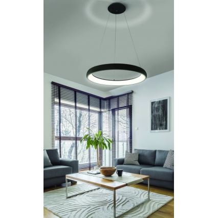 Azzardo AZ5063 - Led Dimmable κρεμαστό φωτιστικό οροφής ANTONIO LED/50W/230V μαύρο + τηλεχειριστήριο