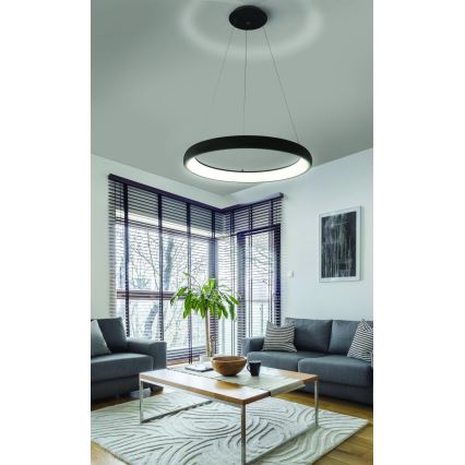 Azzardo AZ5066 - Led Dimmable κρεμαστό φωτιστικό οροφής ANTONIO LED/80W/230V μαύρο + τηλεχειριστήριο