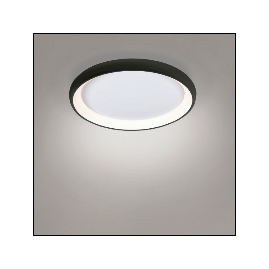 Azzardo AZ5072 - LED Dimmable φωτιστικό οροφής ANTONIO LED/50W/230V μαύρο + τηλεχειριστήριο