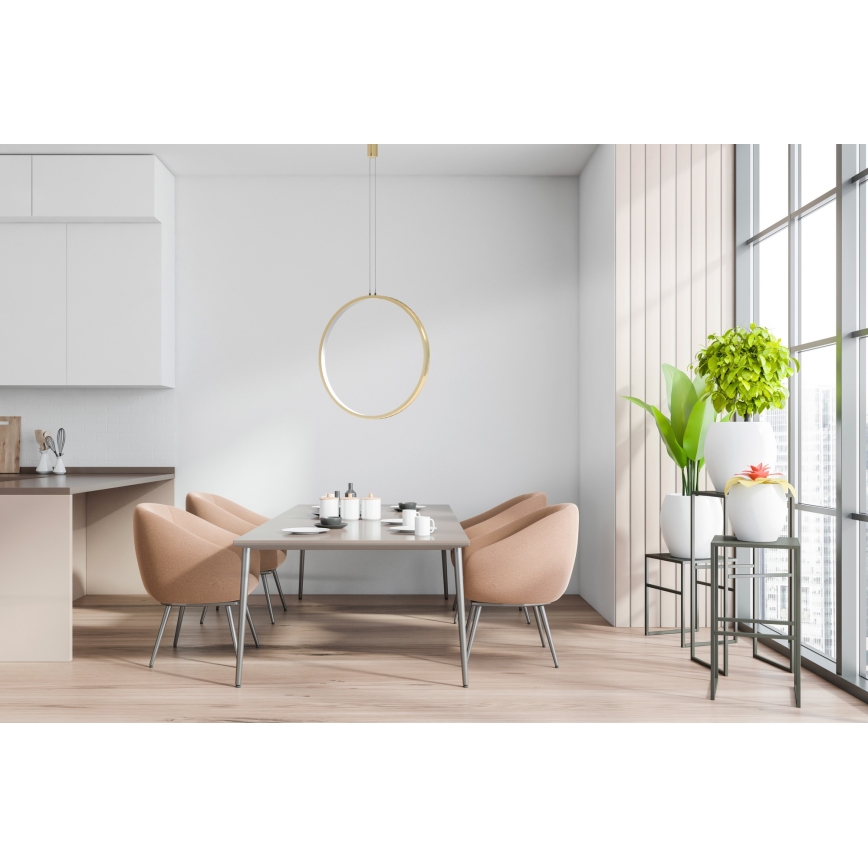 Azzardo AZ5256 - Led Dimmable κρεμαστό φωτιστικό οροφής MASSIMA LED/35W/230V χρυσαφί