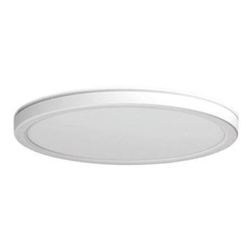 Azzardo AZ5367 - Φωτιστικό οροφής μπάνιου dimming LED PANKA LED/24W/230V IP40 λευκό