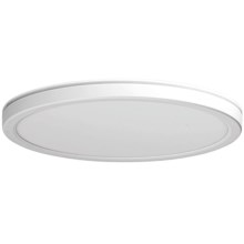 Azzardo AZ5369 - Φωτιστικό οροφής μπάνιου dimming LED PANKA LED/45W/230V IP40 λευκό