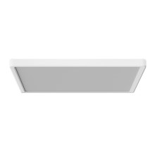 Azzardo AZ5371 - Φωτιστικό οροφής μπάνιου dimming LED PANKA LED/24W/230V IP40 λευκό
