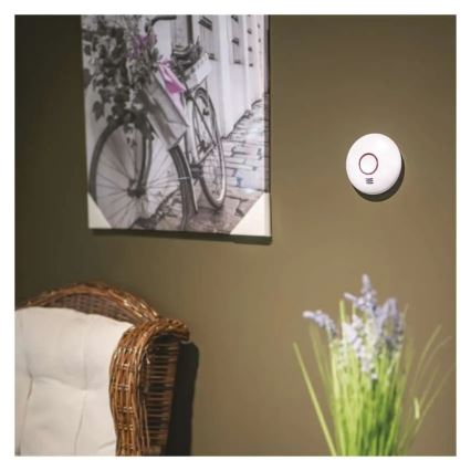 Ανιχνευτής καπνού 2xAA