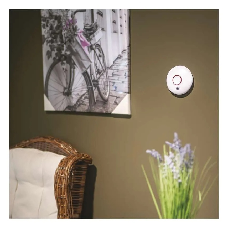 Ανιχνευτής καπνού 2xAA