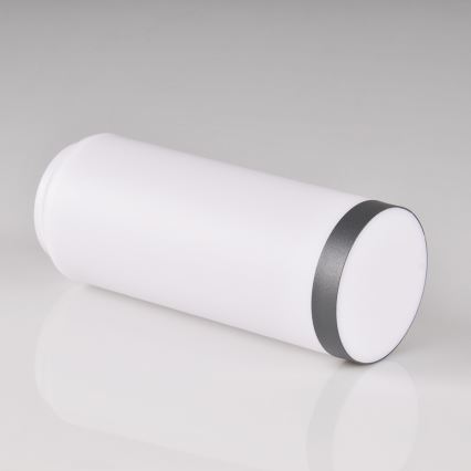 Ανταλλακτικό αμπαζούρ για εξωτερικό φωτιστικό OSLO λευκό/ανθρακί