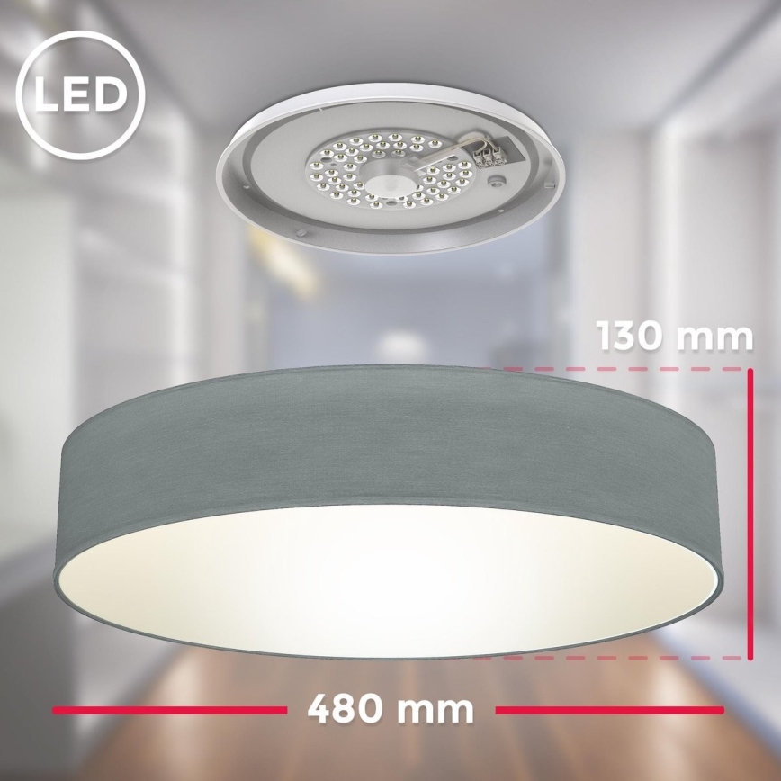 B.K. Licht 1393 - Φωτιστικό οροφής LED LED/20W/230V γκρι