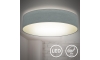 B.K. Licht 1393 - Φωτιστικό οροφής LED LED/20W/230V γκρι