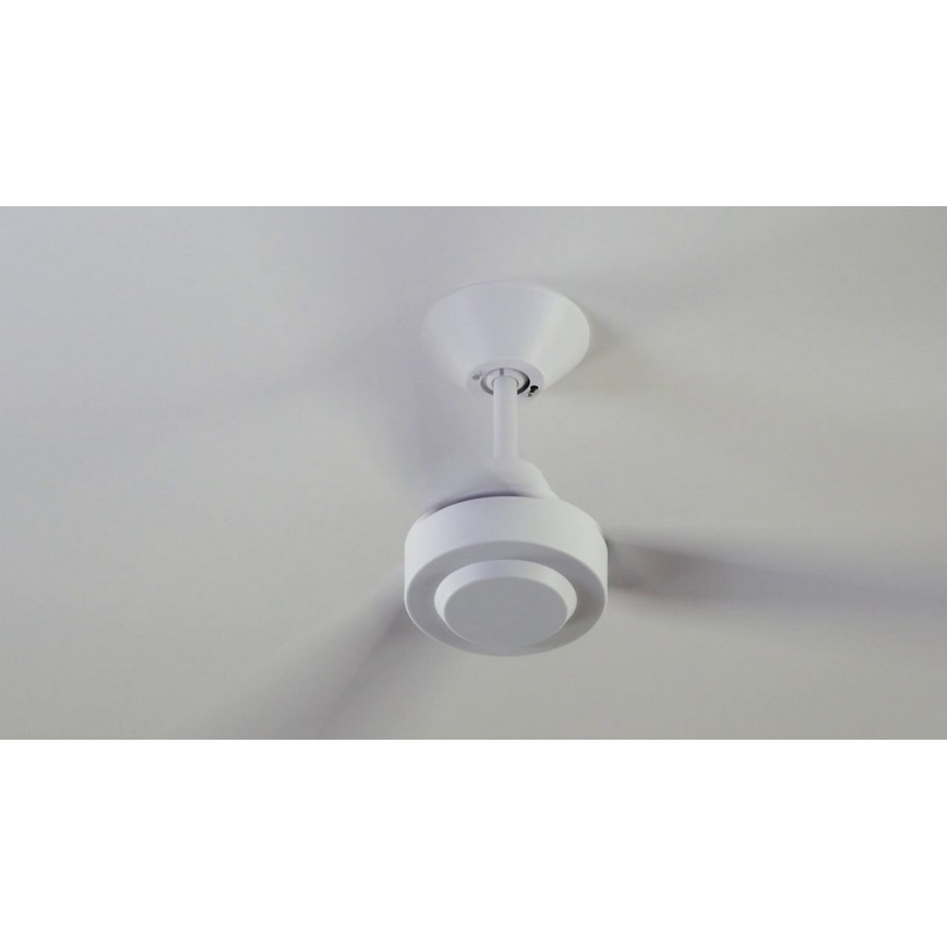 BAYSIDE 213015 - Ανεμιστήρας οροφής CALYPSO λευκό