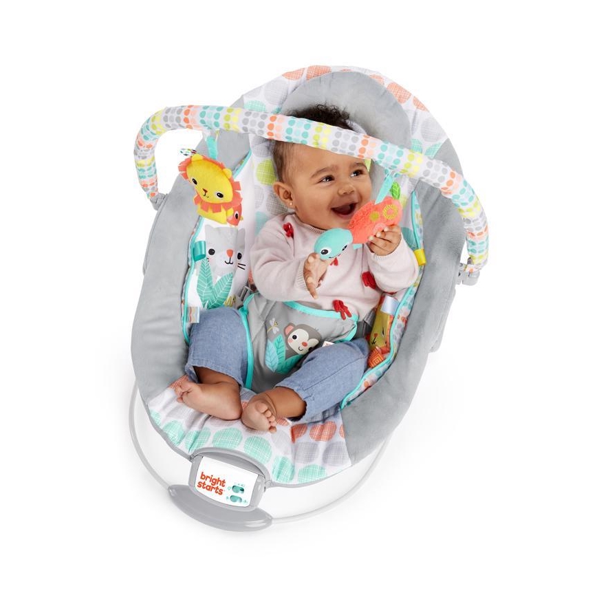 Bright Starts - Βρεφικό relax με δόνηση και μουσική WHIMSICAL WILD 3xLR14