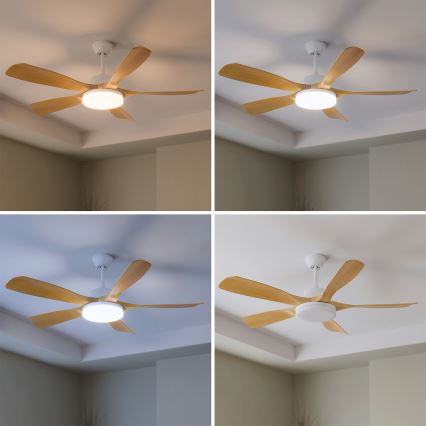 Brilagi - Ρυθμιζόμενος ανεμιστήρας οροφής με LED/34W/230V 132 cm λευκό/καφέ + τηλεχειριστήριο