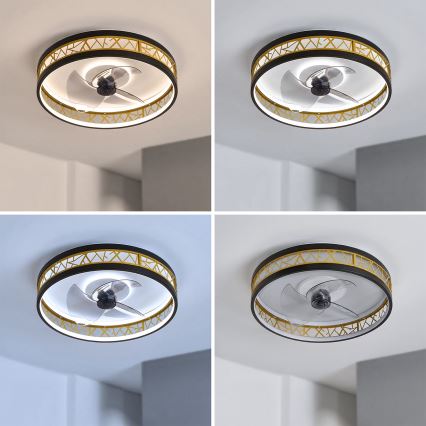 Brilagi - Ρυθμιζόμενος ανεμιστήρας οροφής με LED/34W/230V 50 cm μαύρος/χρυσός + τηλεχειριστήριο