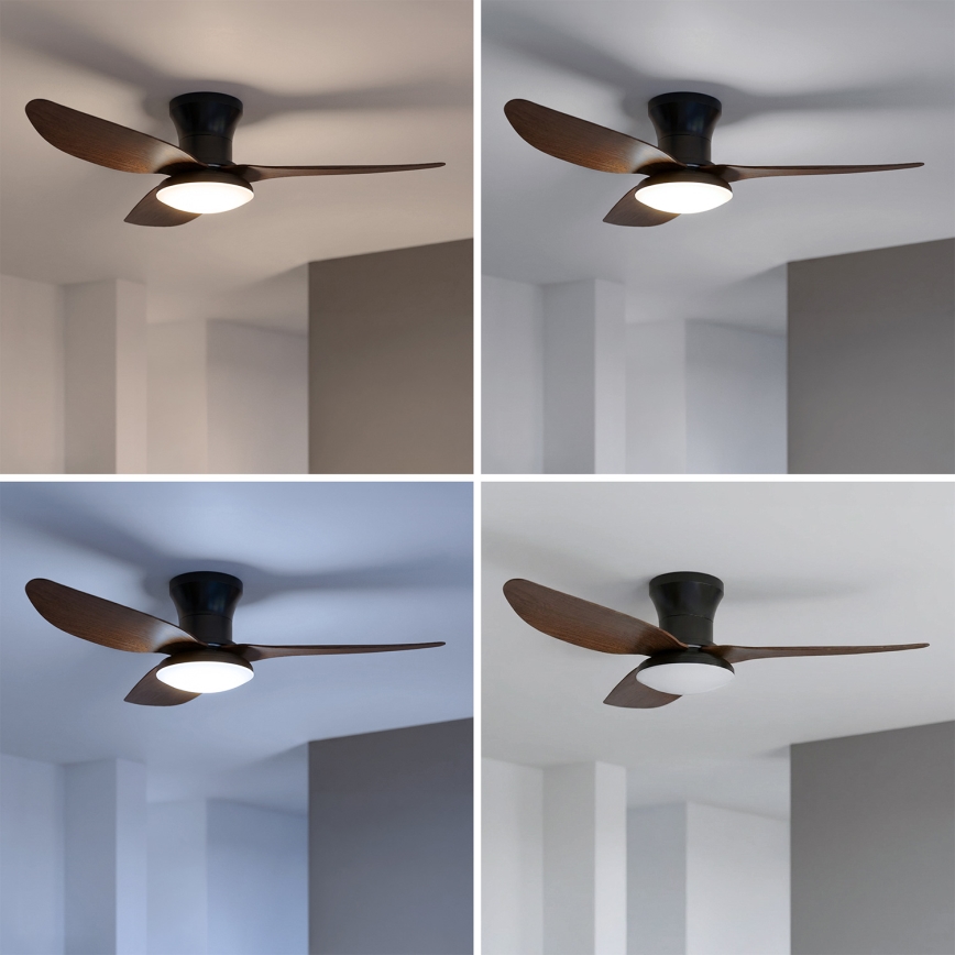 Brilagi - Ρυθμιζόμενος ανεμιστήρας οροφής LED/38W/230V 3000-6500K Ø 100 cm μαύρο/καφέ + τηλεχειριστήριο