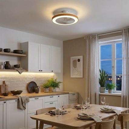 Brilagi - Ανεμιστήρας οροφής με LED και ρυθμιζόμενο φωτισμό/38W/230V 3000-6500K Ø 50 cm λευκό/καφέ + τηλεχειριστήριο