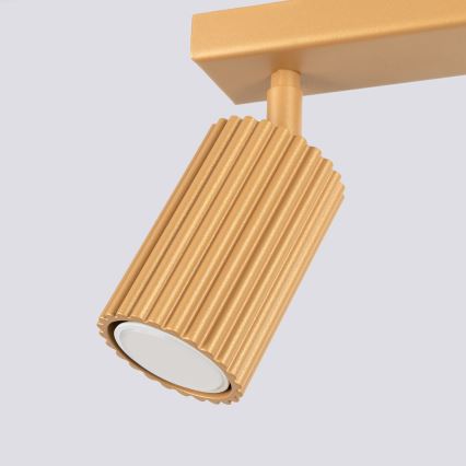 Brilagi - Φωτιστικό σποτ CRESTO 2xGU10/10W/230V χρυσό