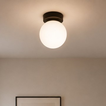 Brilagi - Φωτιστικό σποτ MILO 1xE27/60W/230V μαύρο