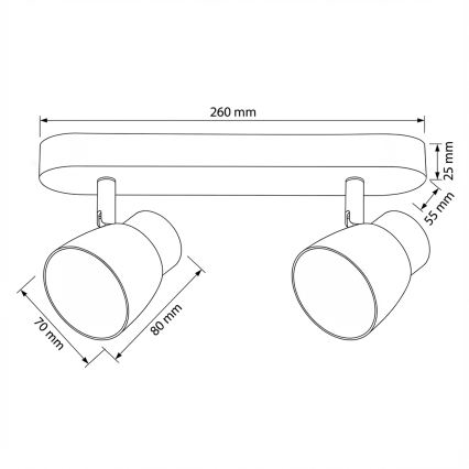 Brilagi - Φωτιστικό σποτ NUGGET 2xGU10/30W/230V μαύρο/χρυσό