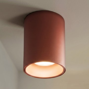 BRILAGI - Φωτιστικό σποτ TRINE 1xGU10/30W/230V καφέ