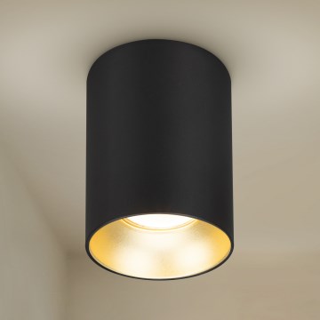 Brilagi - Φωτιστικό σποτ TRINE 1xGU10/30W/230V μαύρο/χρυσό