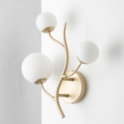 Brilagi - Φωτιστικό τοίχου LED MISTEL 3xG9/3W/230V χρυσό/λευκό