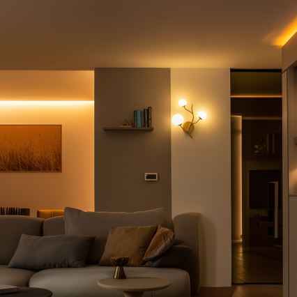 Brilagi - Φωτιστικό τοίχου LED MISTEL 3xG9/3W/230V χρυσό/λευκό