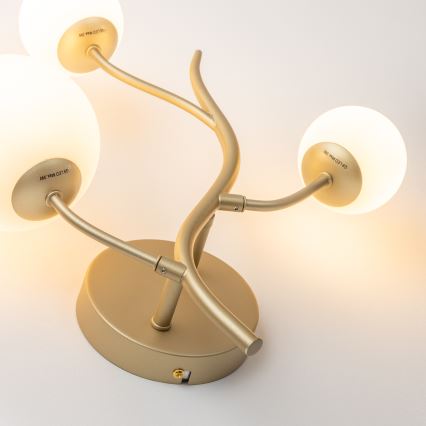 Brilagi - Φωτιστικό τοίχου LED MISTEL 3xG9/3W/230V χρυσό/λευκό