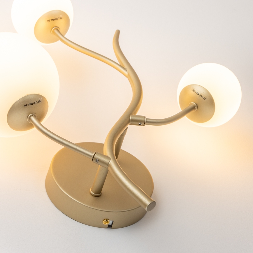 Brilagi - Φωτιστικό τοίχου LED MISTEL 3xG9/3W/230V χρυσό/λευκό